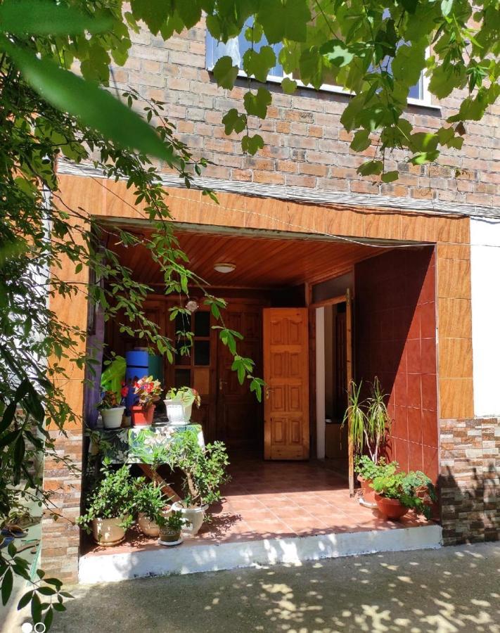 Guest House New Athos Exterior photo
